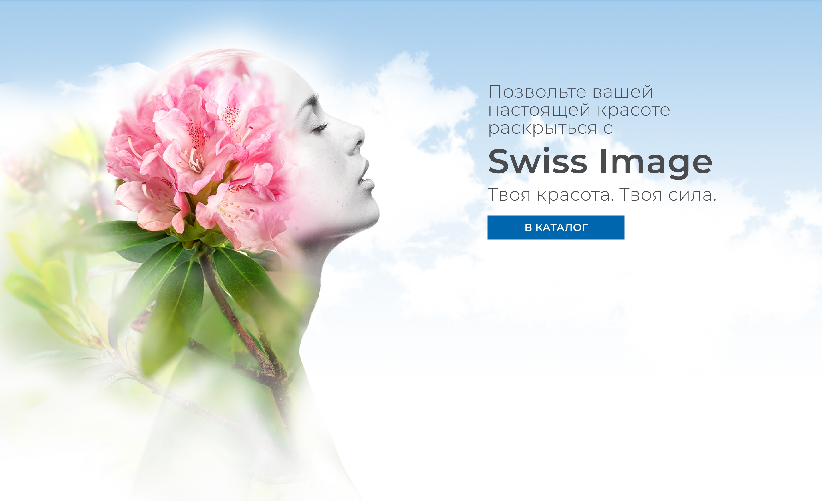 Description of the image